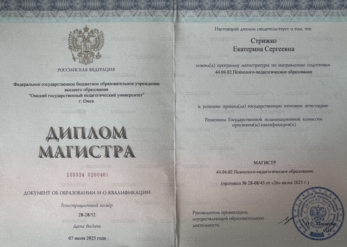 Диплом магистра, Омский государственный педагогический университет